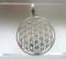 Tachyon 925 Silver Pendant Flower of Life