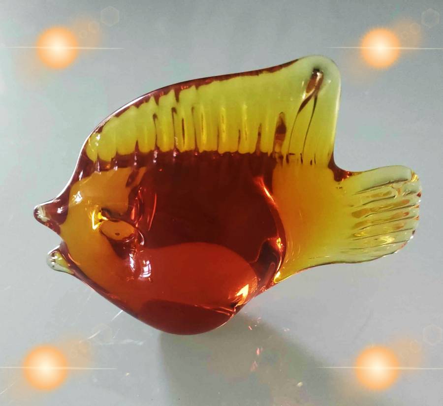 Tachyon Glass Fish