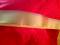 Tachyon Saree Red with Golden Embroidery