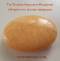 Tachyon Aragonite Palmstone