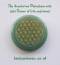 Tachyon Aventurine Palmstone with gold Flower of Life engraving