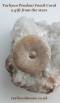 Tachyon Donut Pendant Fossil Coral, 40 mm