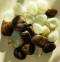 Tachyon Glass Pebbles & Tiger Stone,