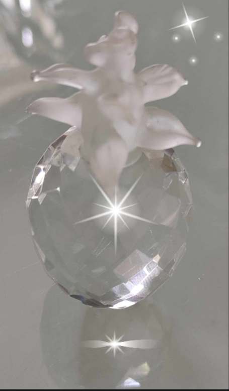 Tachyon Glass Crystal Pineapple